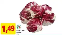 DPiù Radicchio palla offerta