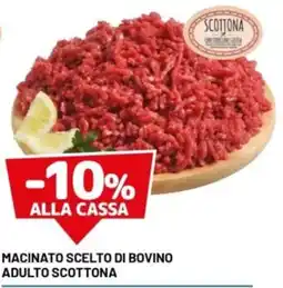 DPiù Macinato scelto di bovino adulto scottona offerta