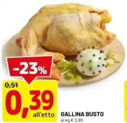 DPiù Gallina busto offerta