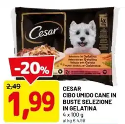 DPiù Cesar cibo umido cane in buste selezione in gelatina offerta
