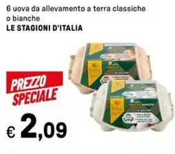 Iper La Grande 6 uova da allevamento a terra classiche o bianche LE STAGIONI D'ITALIA offerta