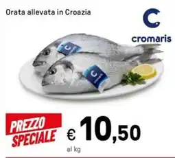 Iper La Grande Orata allevata in Croazia offerta