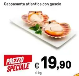 Iper La Grande Cappasanta atlantica con guscio offerta