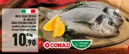 Conad Superstore Orate italia fresche offerta