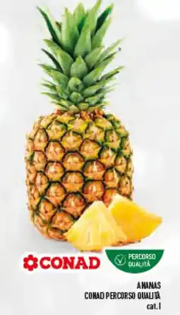 Conad Superstore Ananas conad percorso qualità offerta