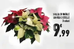 Conad Superstore Stella di natale guiola 3 stelle offerta