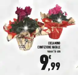 Conad Superstore Ciclamino confezione natale offerta