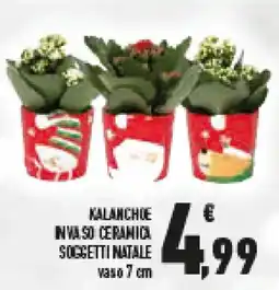 Conad Superstore Kalanchoe in vaso ceramica soggetti natale offerta