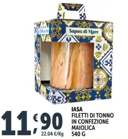 Deco Supermercati Iasa filetti di tonno in confezione maiolica offerta