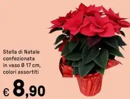 Iper La Grande Stella di Natale confezionata offerta