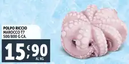 Deco Supermercati Polpo riccio marocco T7 offerta