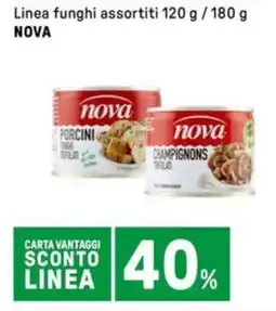 Iper La Grande Linea funghi NOVA offerta