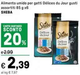 Iper La Grande Alimento umido per gatti Délices du Jour SHEBA offerta