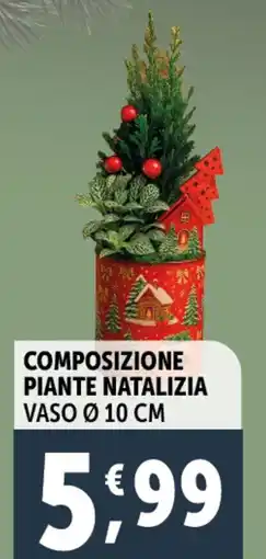 Deco Supermercati Composizione piante natalizia offerta
