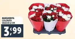 Deco Supermercati Margherita colorata offerta