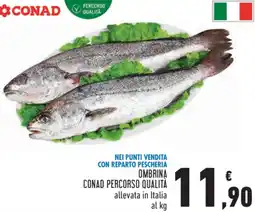 Conad Nei punti vendita con reparto pescheria ombrina CONAD PERCORSO QUALITÀ offerta