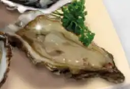 Conad Ostriche tentation offerta