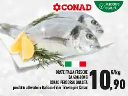 Conad Orate italia fresche offerta