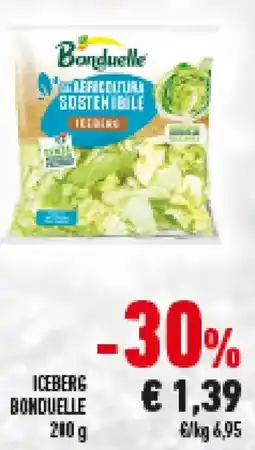 Conad Iceberg BONDUELLE offerta