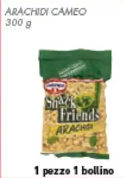 Conad Superstore Arachidi CAMEO offerta