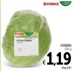 Spazio Conad Conad iceberg offerta