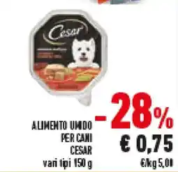 Conad Superstore Alimento umdo per cani CESAR offerta