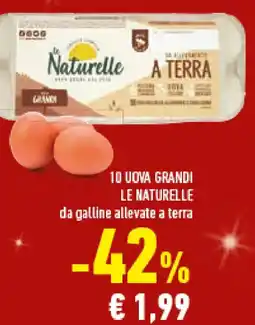 Conad Superstore 10 uova grandi LE NATURELLE offerta