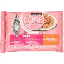 Spazio Conad ALIMENTO PER GATTI ONE PURINA offerta
