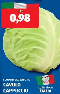 ALDI I colori del sapore cavolo cappuccio offerta