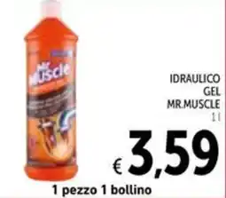 Spazio Conad Idraulico gel MR.MUSCLE offerta