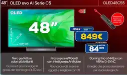 Euronics LG 48" OLED evo Al Serie C5 OLED48C55 offerta