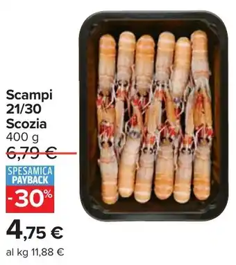 Scampi 21/30 Scozia