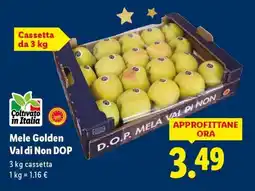 Lidl Mele Golden Val di Non DOP offerta