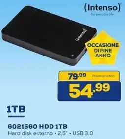 Euronics (Intenso) 6021560 HDD 1TB offerta