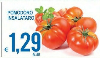 MD Discount Pomodoro insalataro offerta