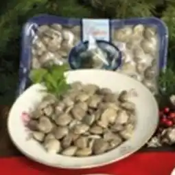 Sigma Vongola lupino offerta