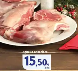 Sigma Agnello anteriore offerta