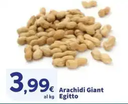 Sigma Arachidi Giant Egitto offerta