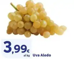 Sigma Uva Aledo offerta