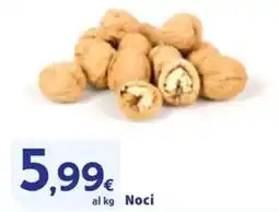 Sigma Noci offerta
