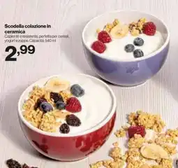 In'S Mercato Scodella colazione in ceramica offerta