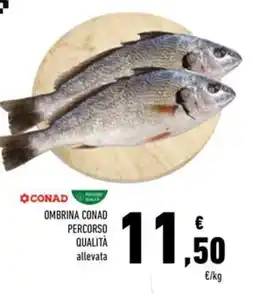 Conad Ombrina CONAD PERCORSO QUALITÀ offerta