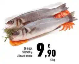 Conad Spigola offerta