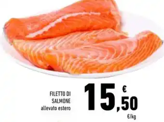 Filetto di salmone