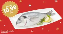 Eurospar Orata allevata in Croazia offerta