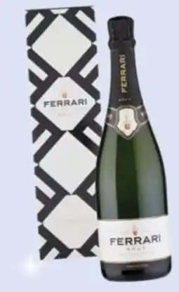 Oasi Spumante ferrari brut offerta