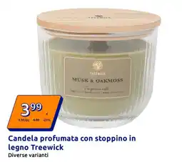 Action Candela profumata con stoppino in legno Treewick offerta
