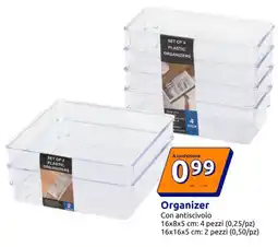 Action Organizer Con antiscivolo offerta