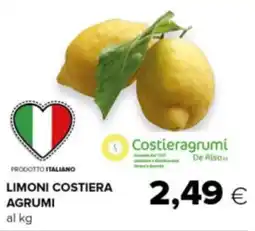 Oasi Limoni costiera agrumi offerta