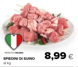 Oasi Spiedini di suino offerta